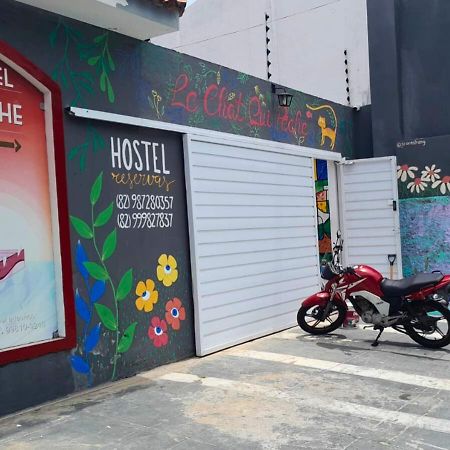 "Le Chat Qui Peche" Hostel A 150 Metros Da Praia De Pajucara Maceió エクステリア 写真